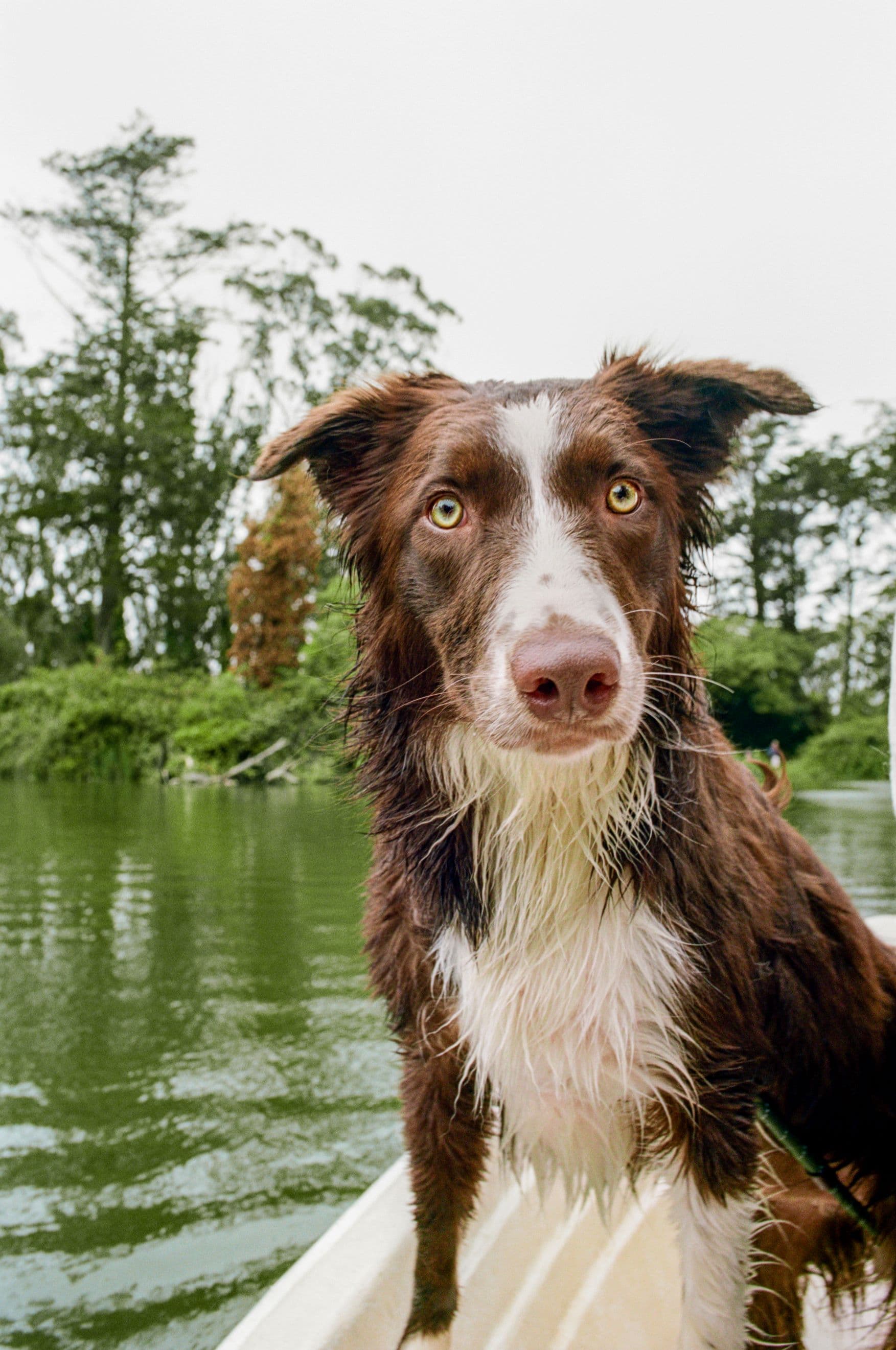 https://file.garden/Z_cwVckjxktxt8Cu/portfolio/boat_millie.jpg