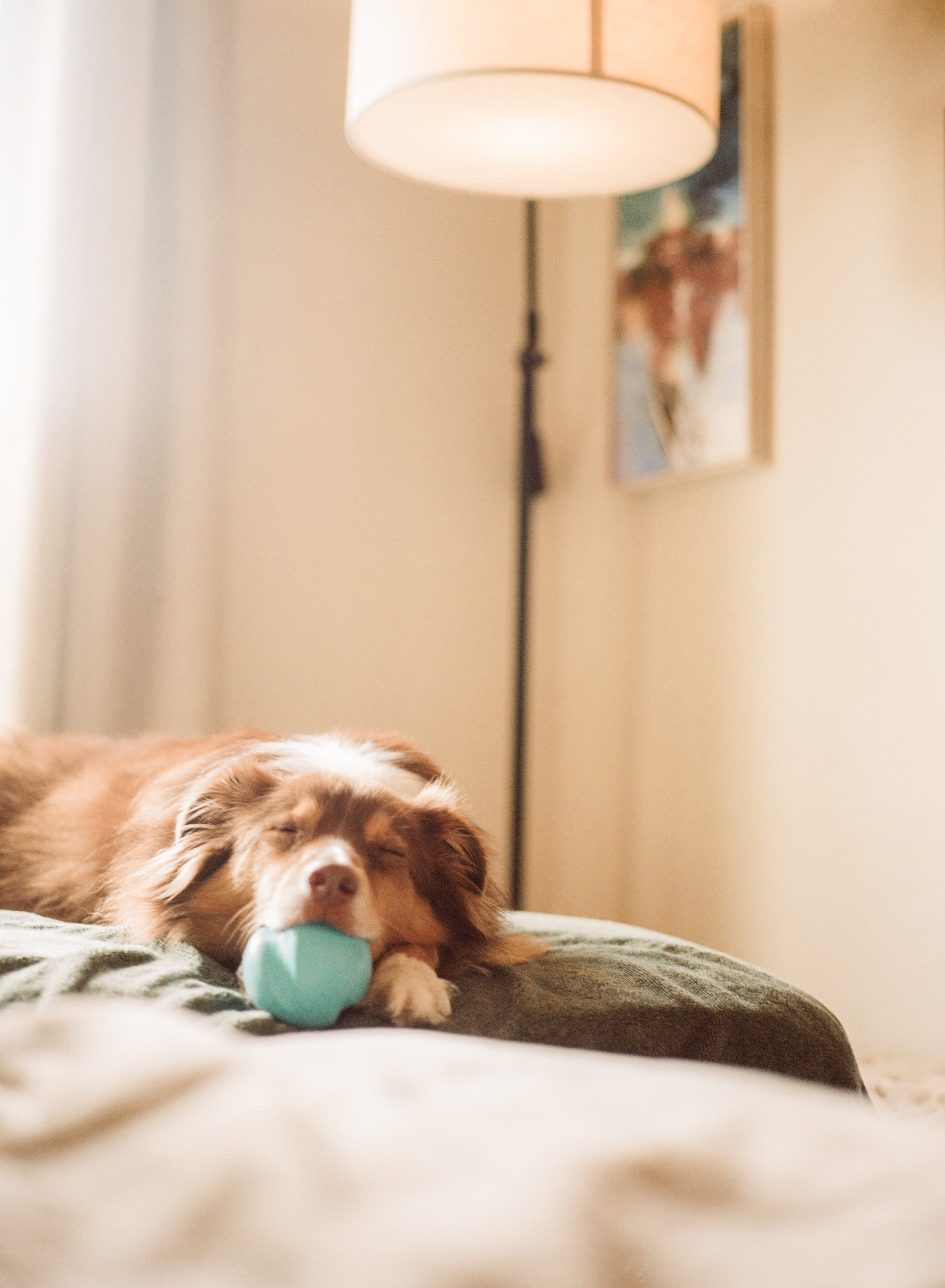 https://file.garden/Z_cwVckjxktxt8Cu/portfolio/c_ball_couch.jpg