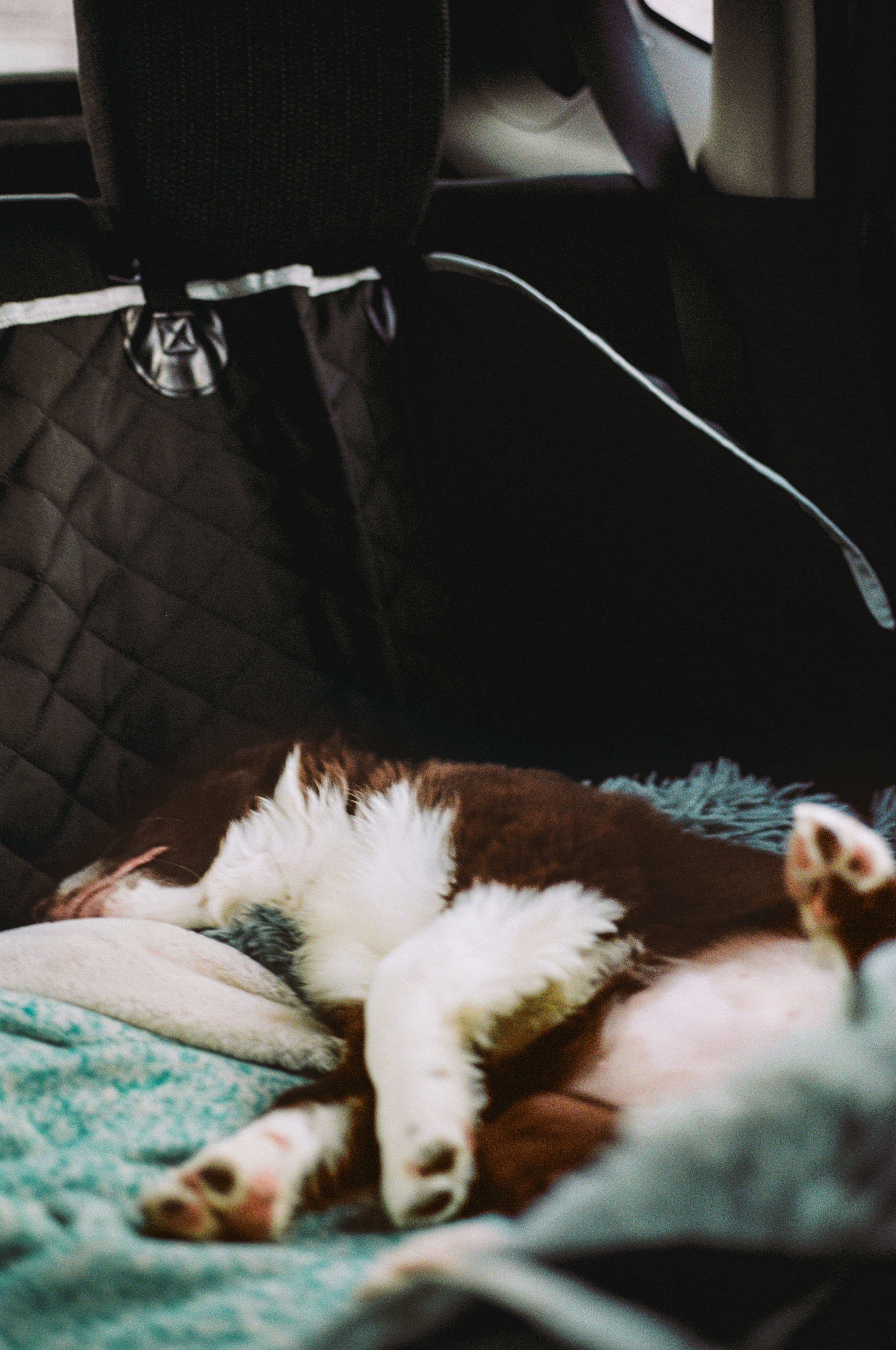 https://file.garden/Z_cwVckjxktxt8Cu/portfolio/mi_sleeping_sd.jpg
