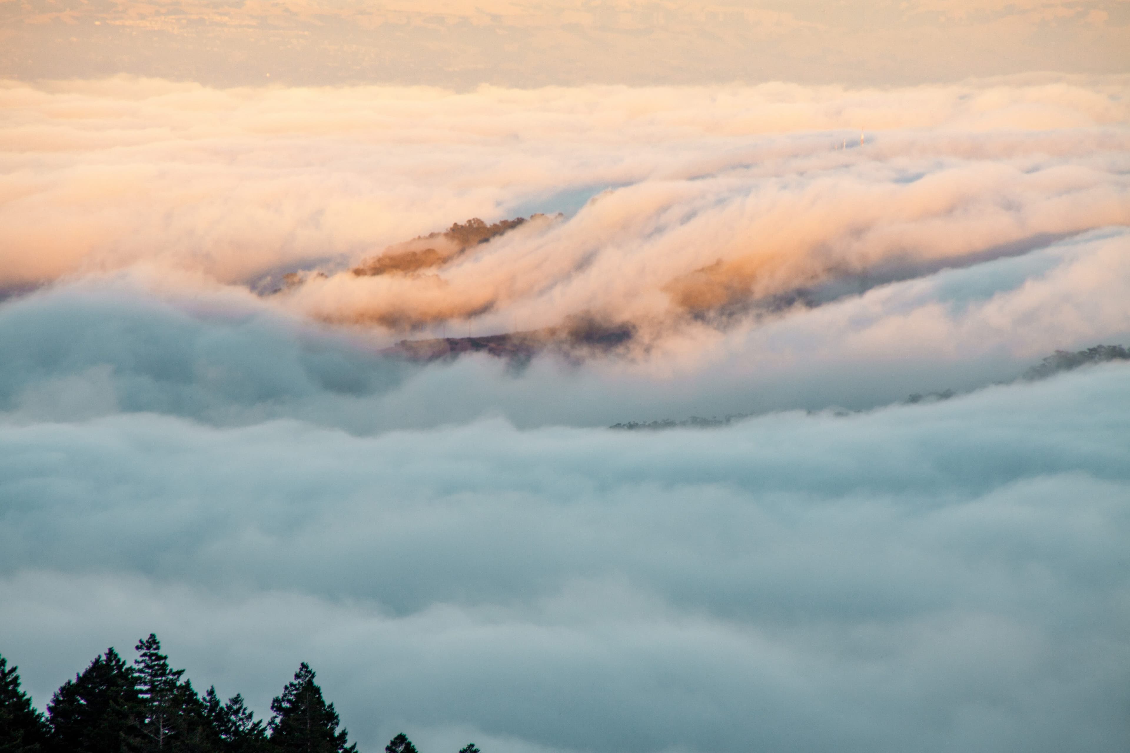 https://file.garden/Z_cwVckjxktxt8Cu/portfolio/rolling_fog.jpg