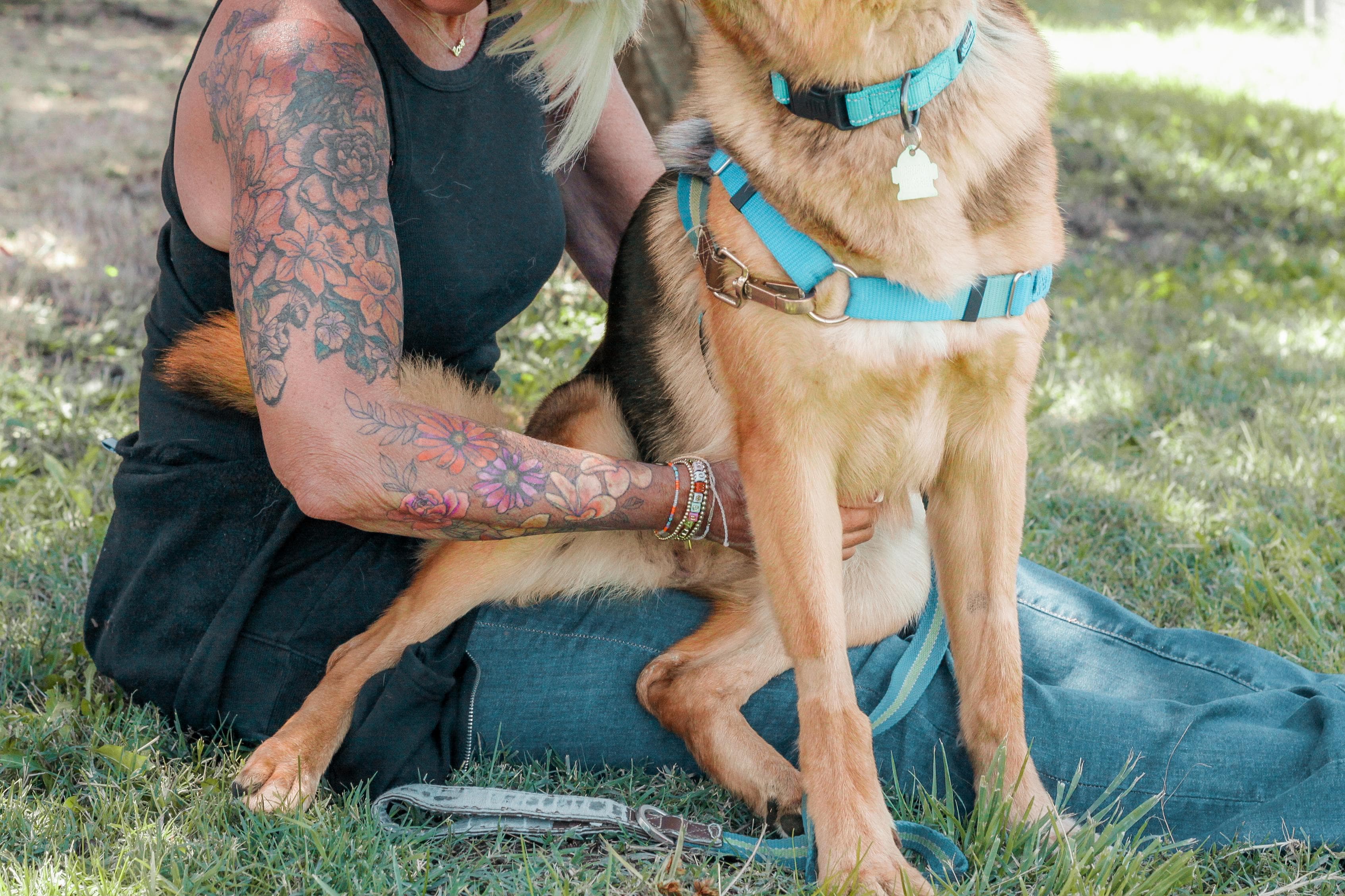 https://file.garden/Z_cwVckjxktxt8Cu/puppy/zarina_lap.jpg